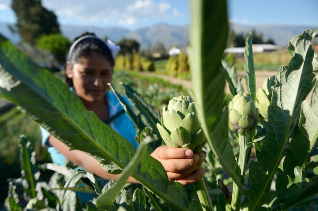 Jugendliche arbeiten in den Gemüsegärten - Kinderheim Comunidad La Providencia, Catro Esquinas, Departamento Cochabamba, Bolivien; Foto: Florian Kopp/SMMP